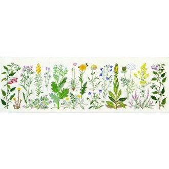 Kystens Blomster